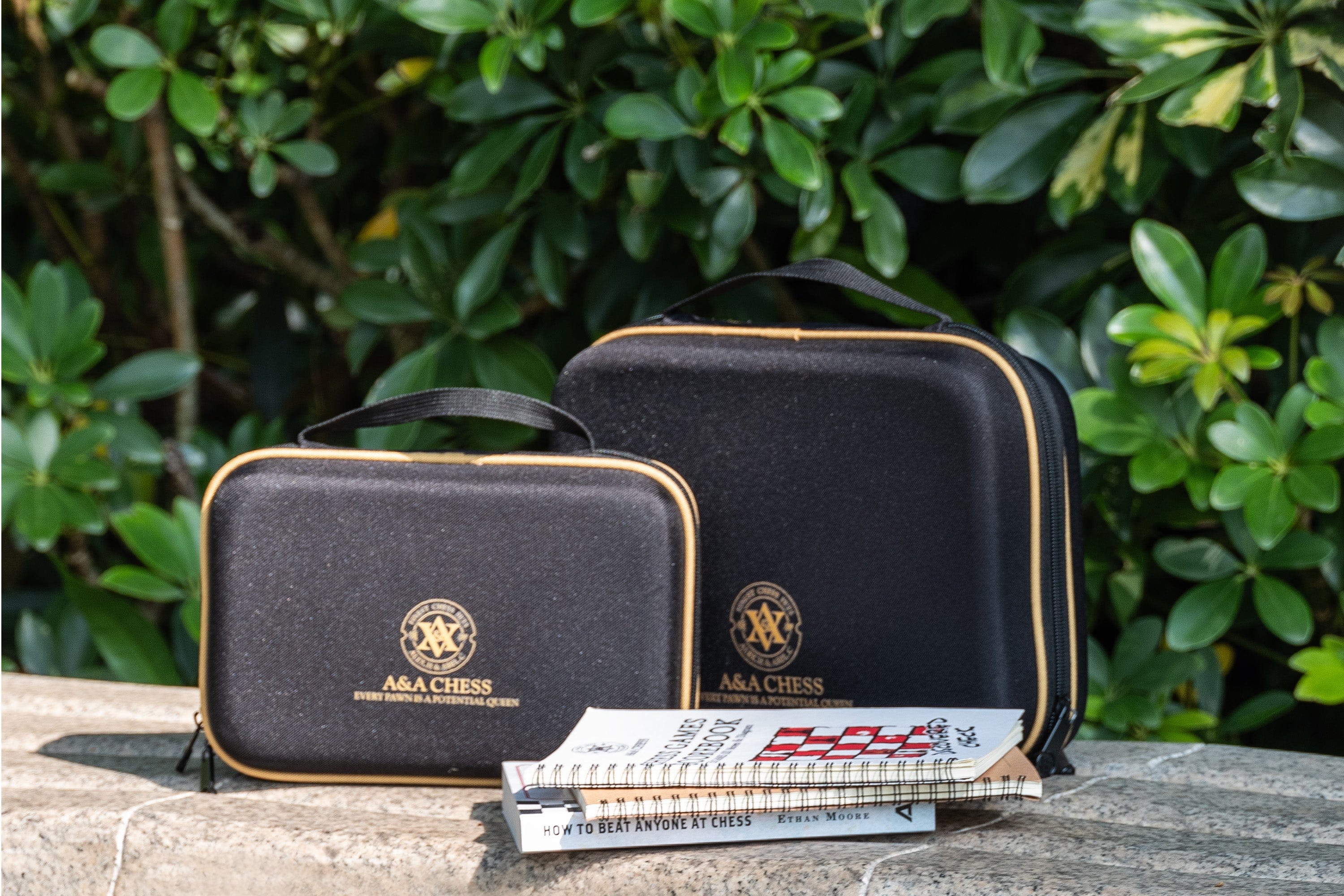 Best Wooden Chess Sets 2025 — Top 10 Editor Picks