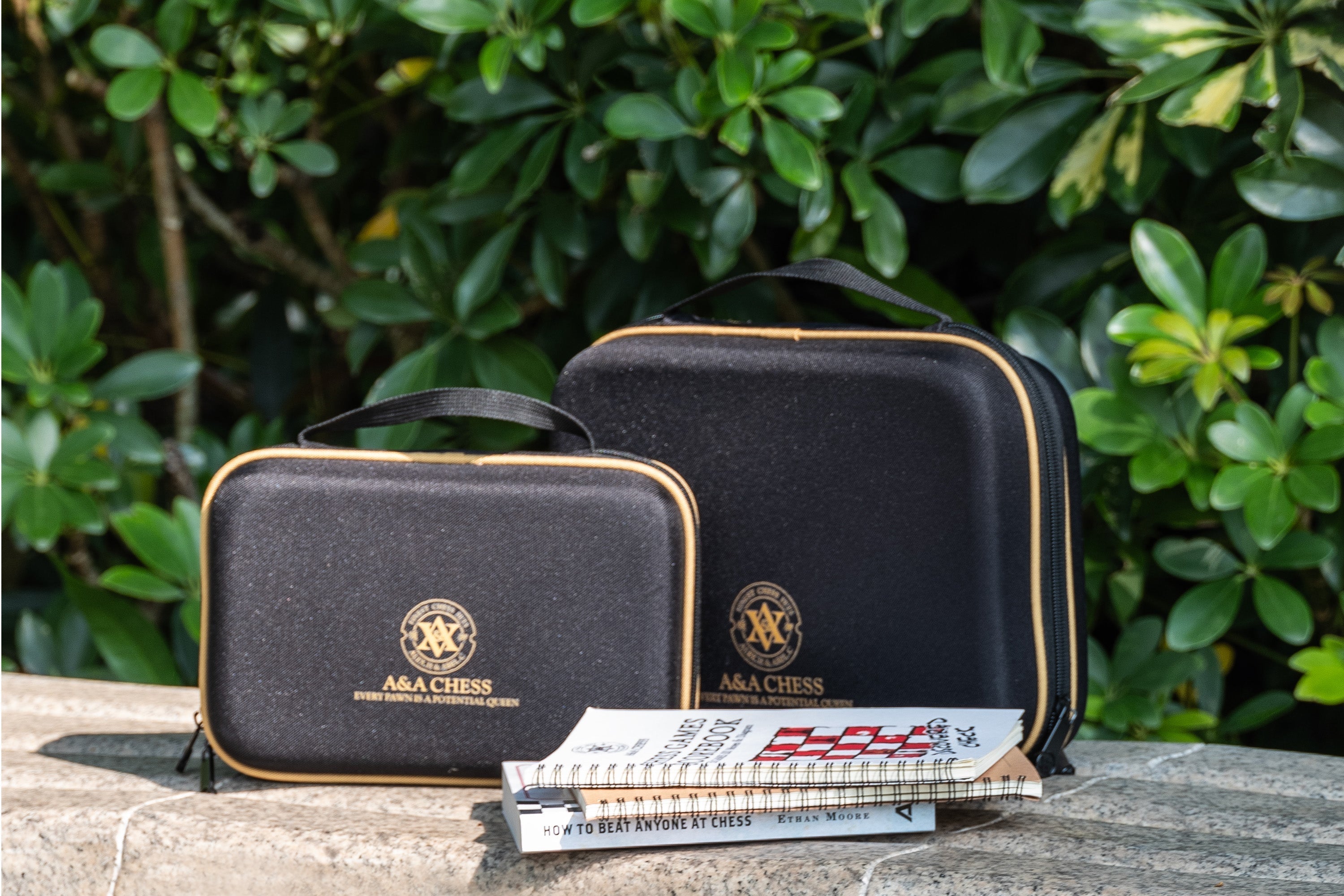 Chess Pawn Structures & Middlegame Plans | AA Chess