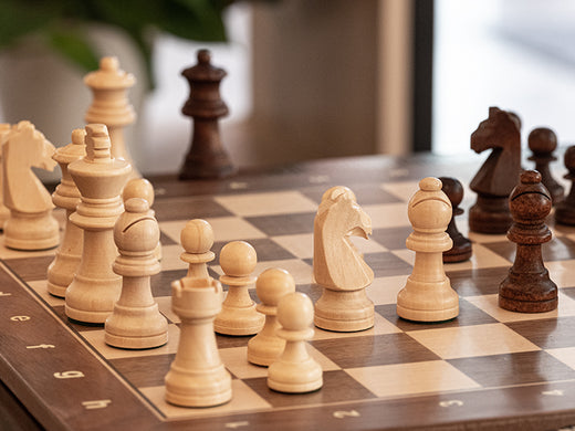 Ultimate Chess Experience: The A&A CHESS All-in-One Set for Quality, Organization, and Fun